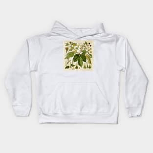 Retro Botanical Common Hops Kids Hoodie